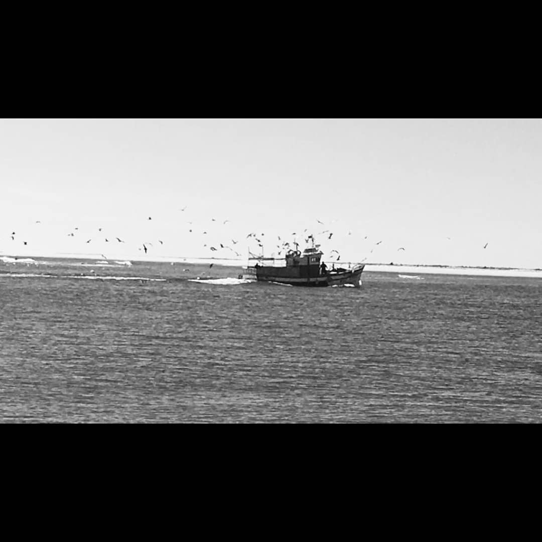 img169