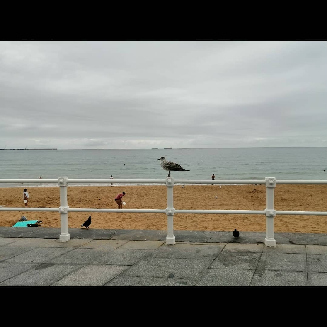 img185